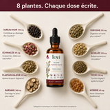 Les 8 plantes de la formule, une cuillère par extrait