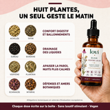 Huit plantes, un seul geste le matin — la grille des 8 extraits et leurs bénéfices
