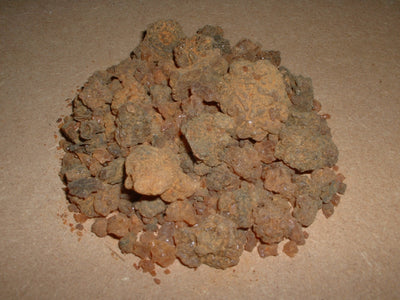 Myrrhe — Commiphora myrrha