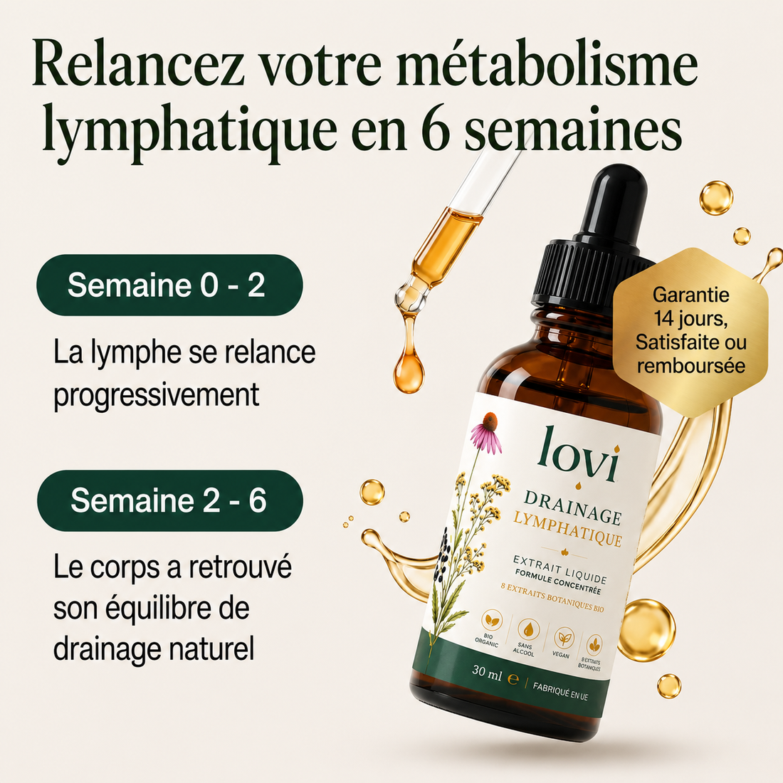 Relance ton métabolisme lymphatique en 6 semaines