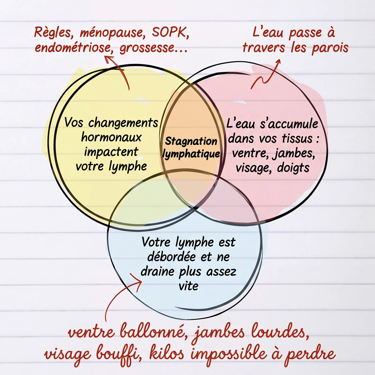 Schéma lymphe et hormones